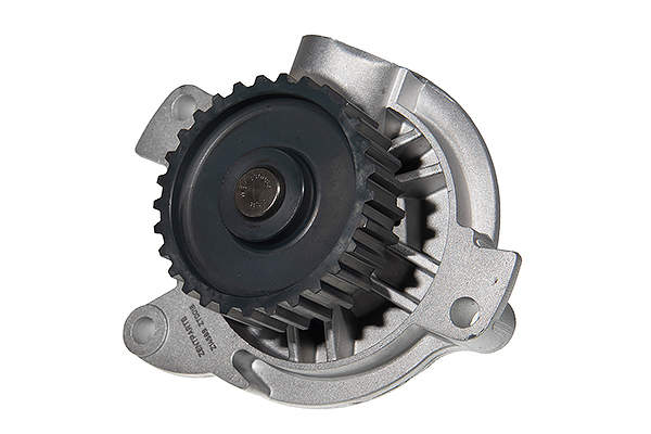Z14589