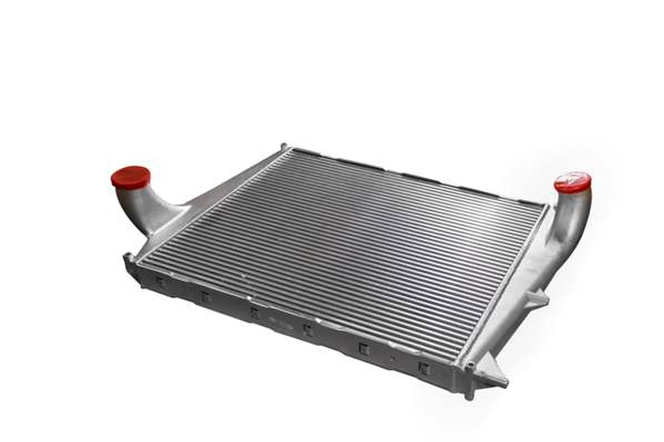 Z12521