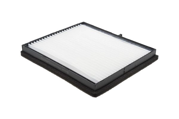 Z33999