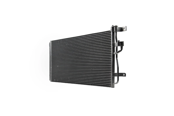 Z19212