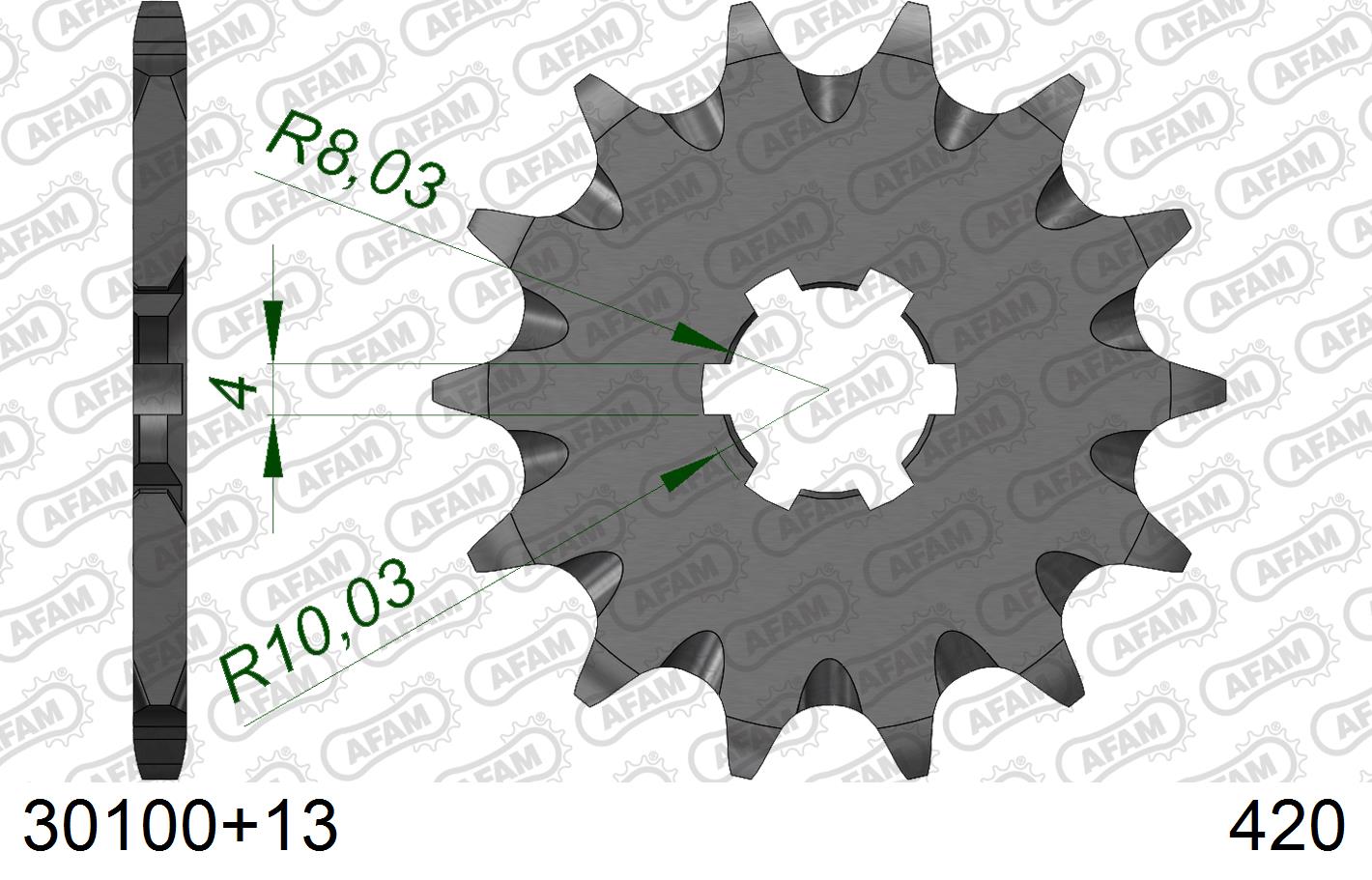 30100-13