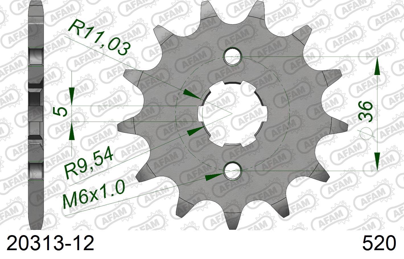 20313-12