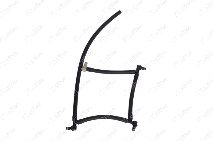 19748