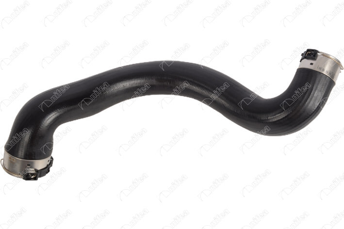 33563