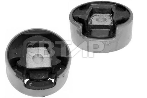 BVE1101-020