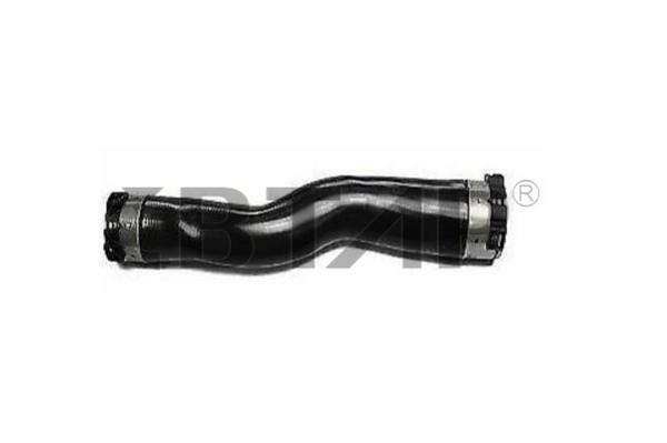 BME304-008