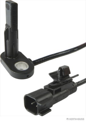 J5900906