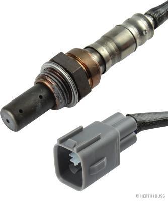 J1462036