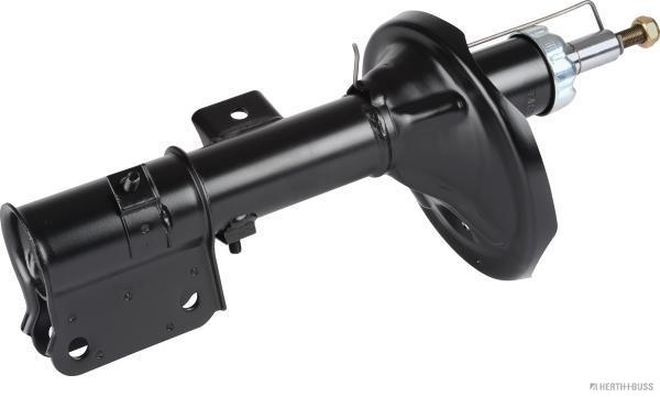 J4305007