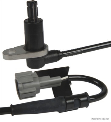 J5931006
