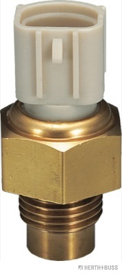 J5655003