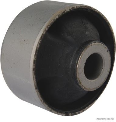 J4200529