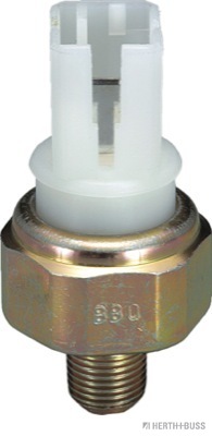 J5611004
