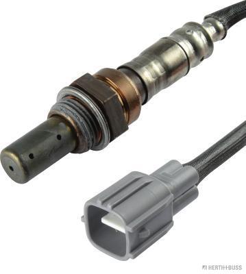 J1462019