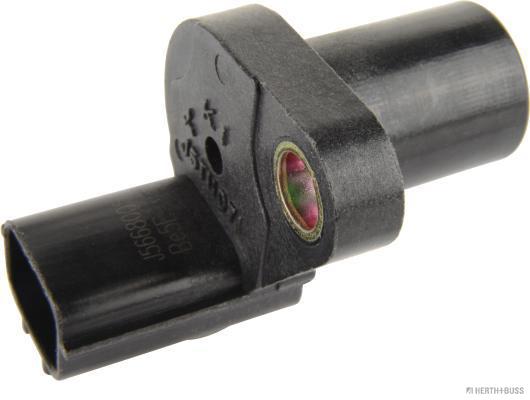 J5668005