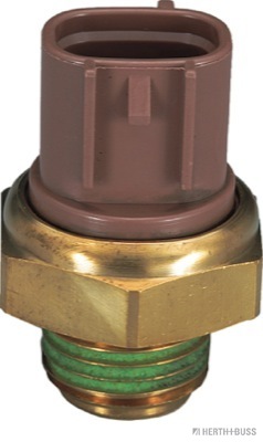 J5658003