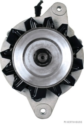 MN137871