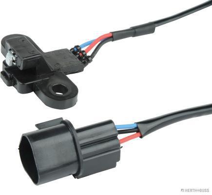 J5665004