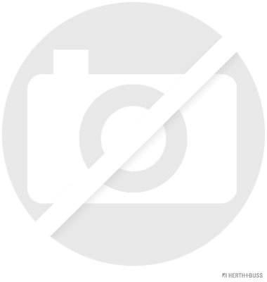 J5384036