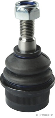 J4981005