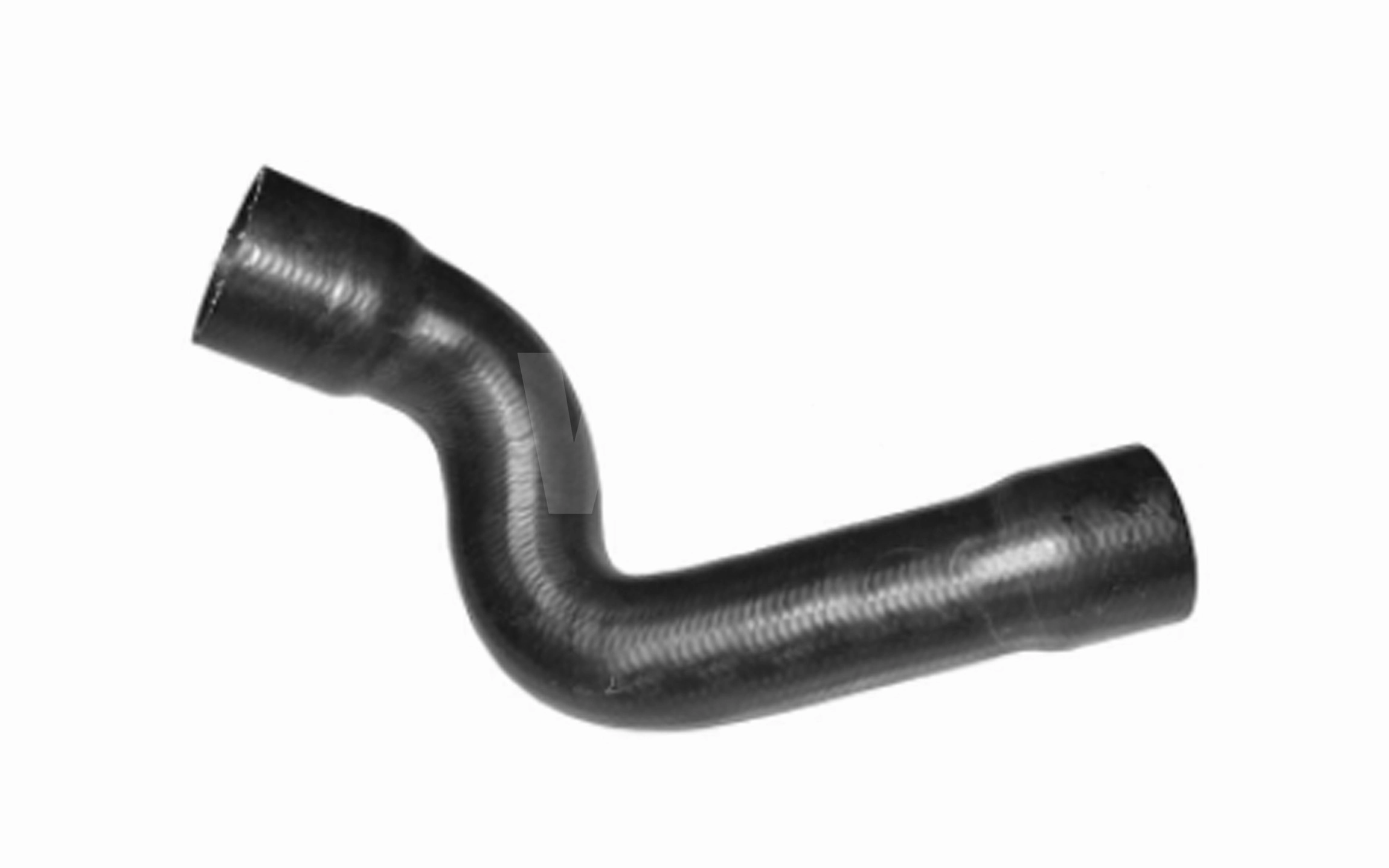 T196557