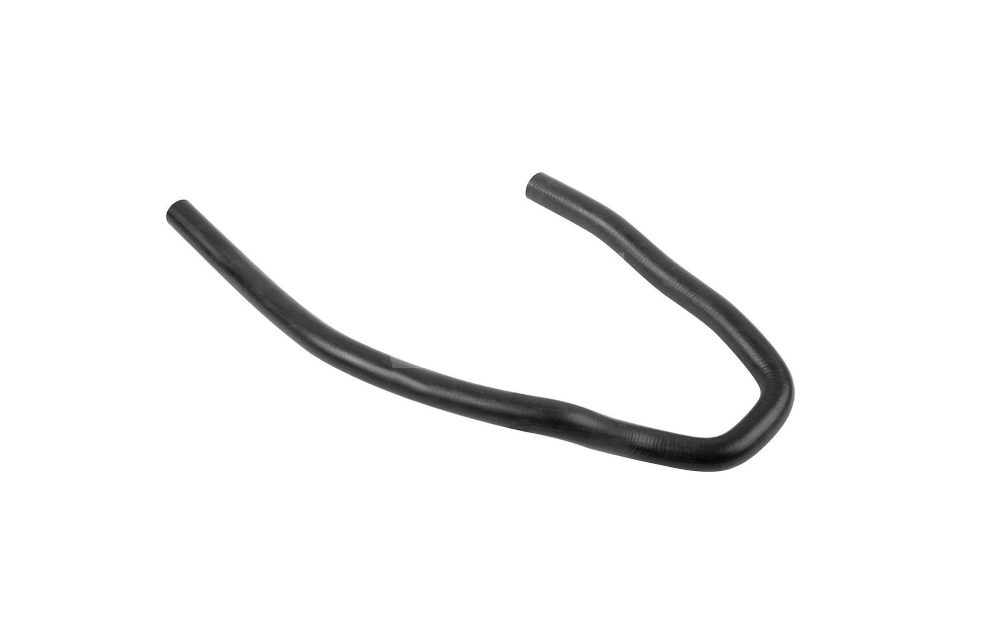 T559419