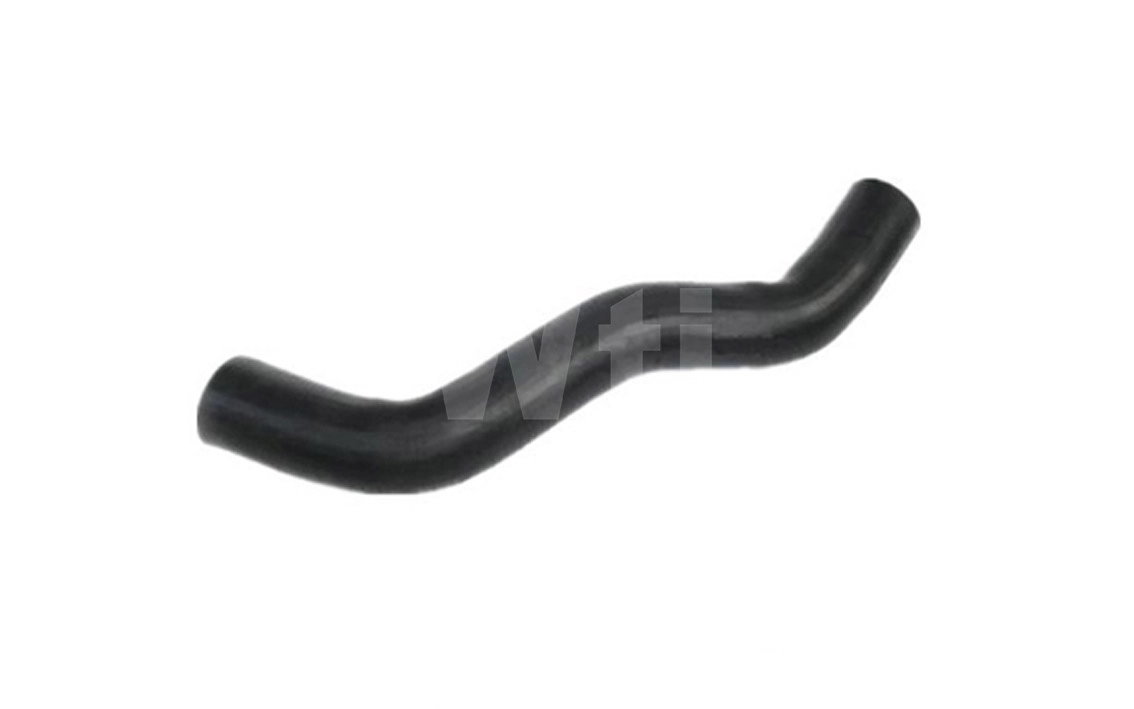 T555529