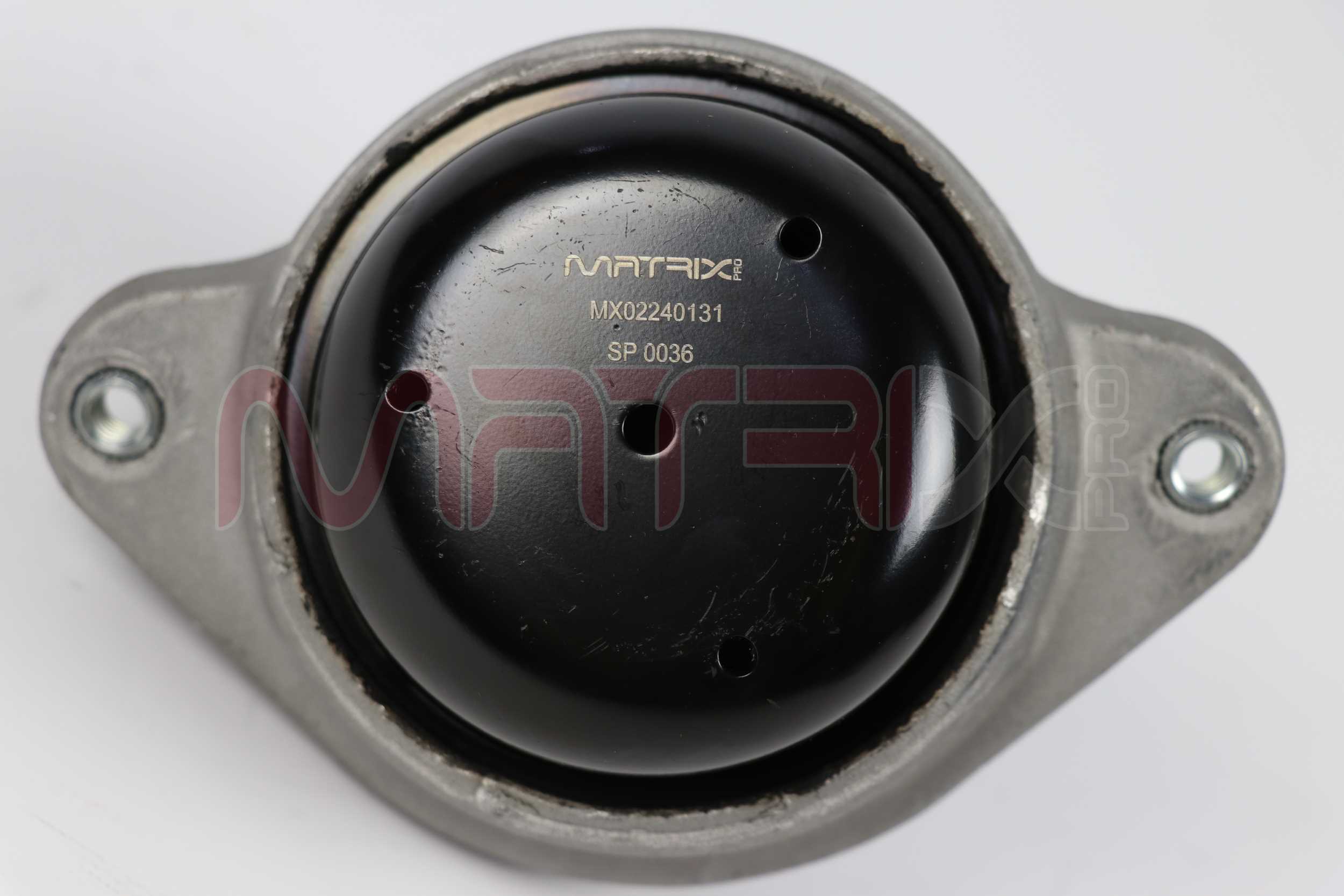 MX02240131