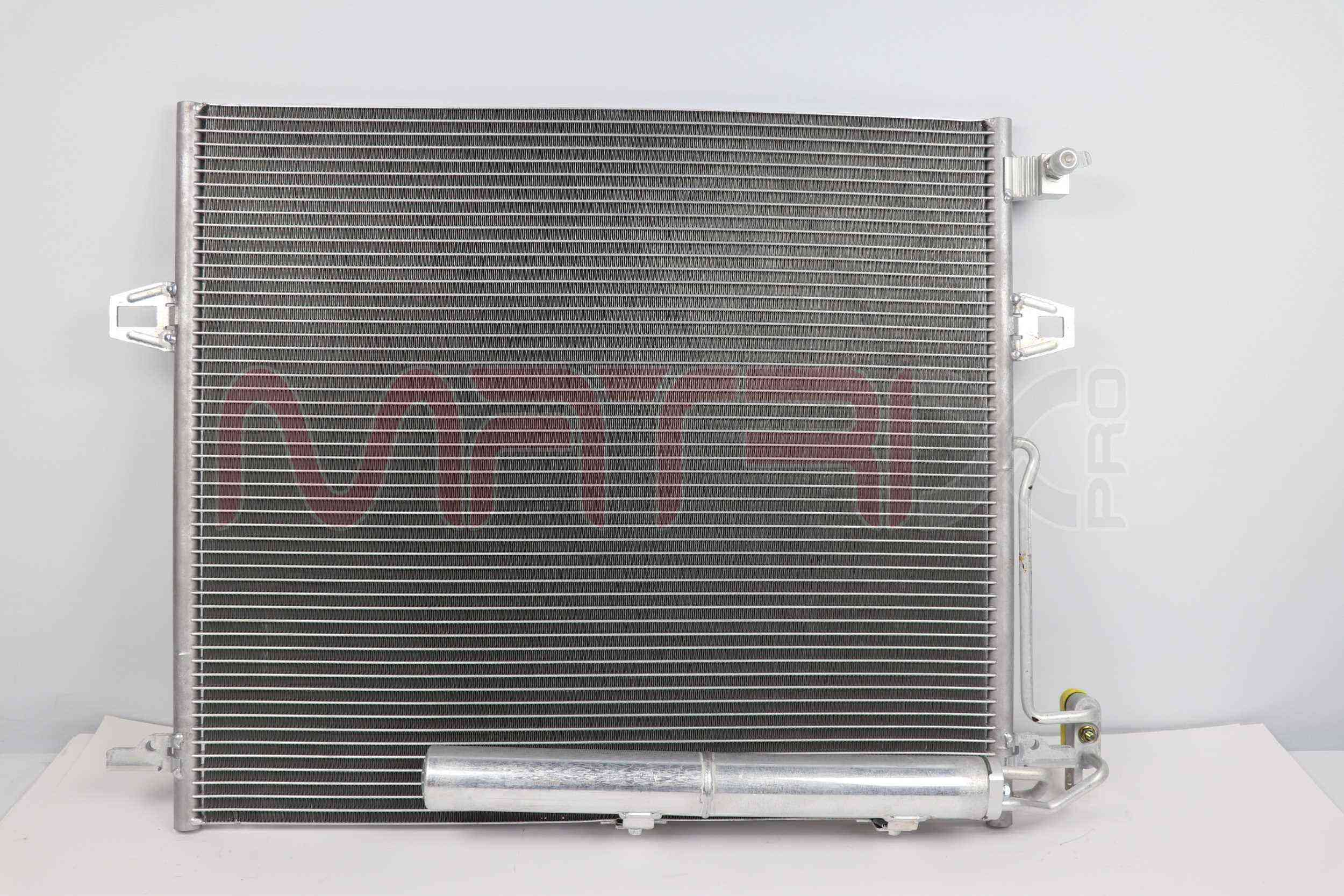 MX02500155