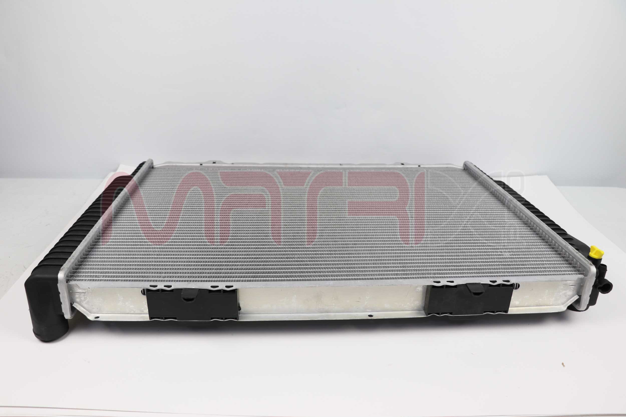 MX02500029