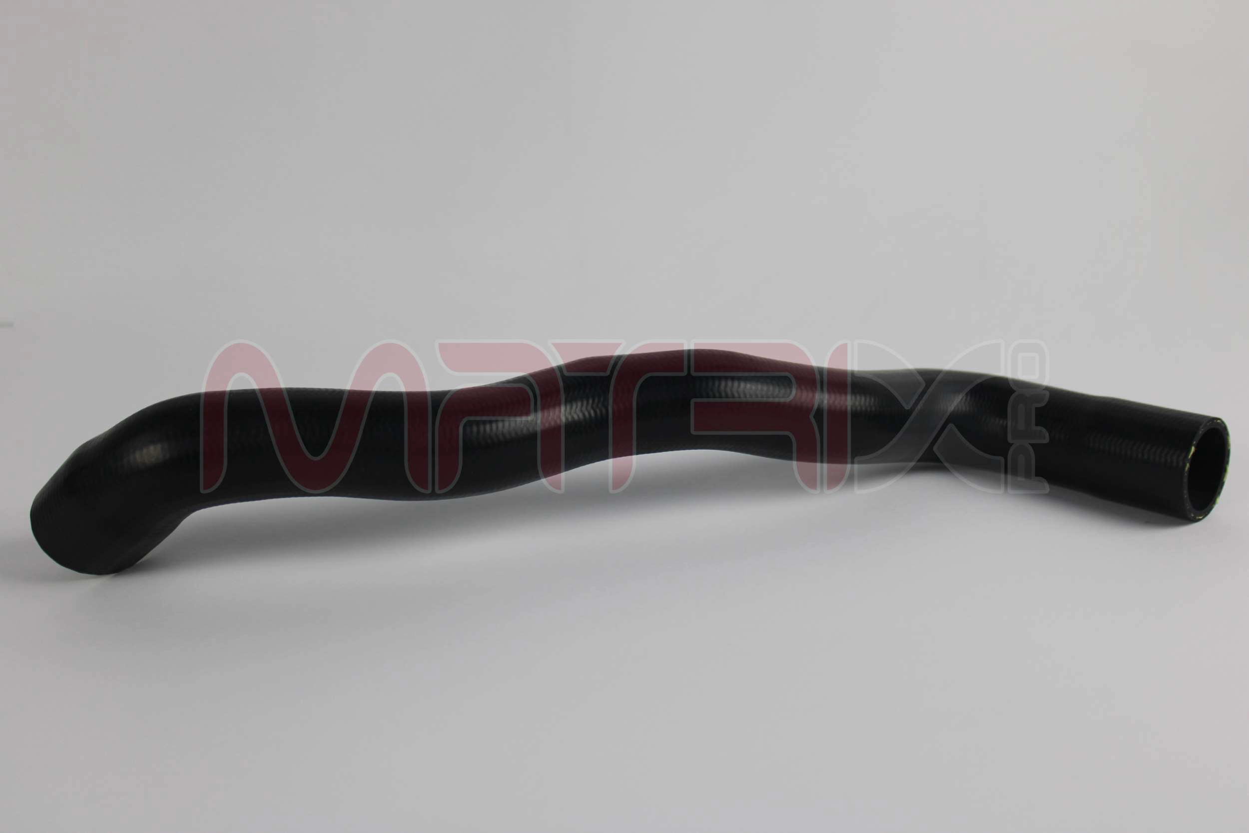 MX02501446