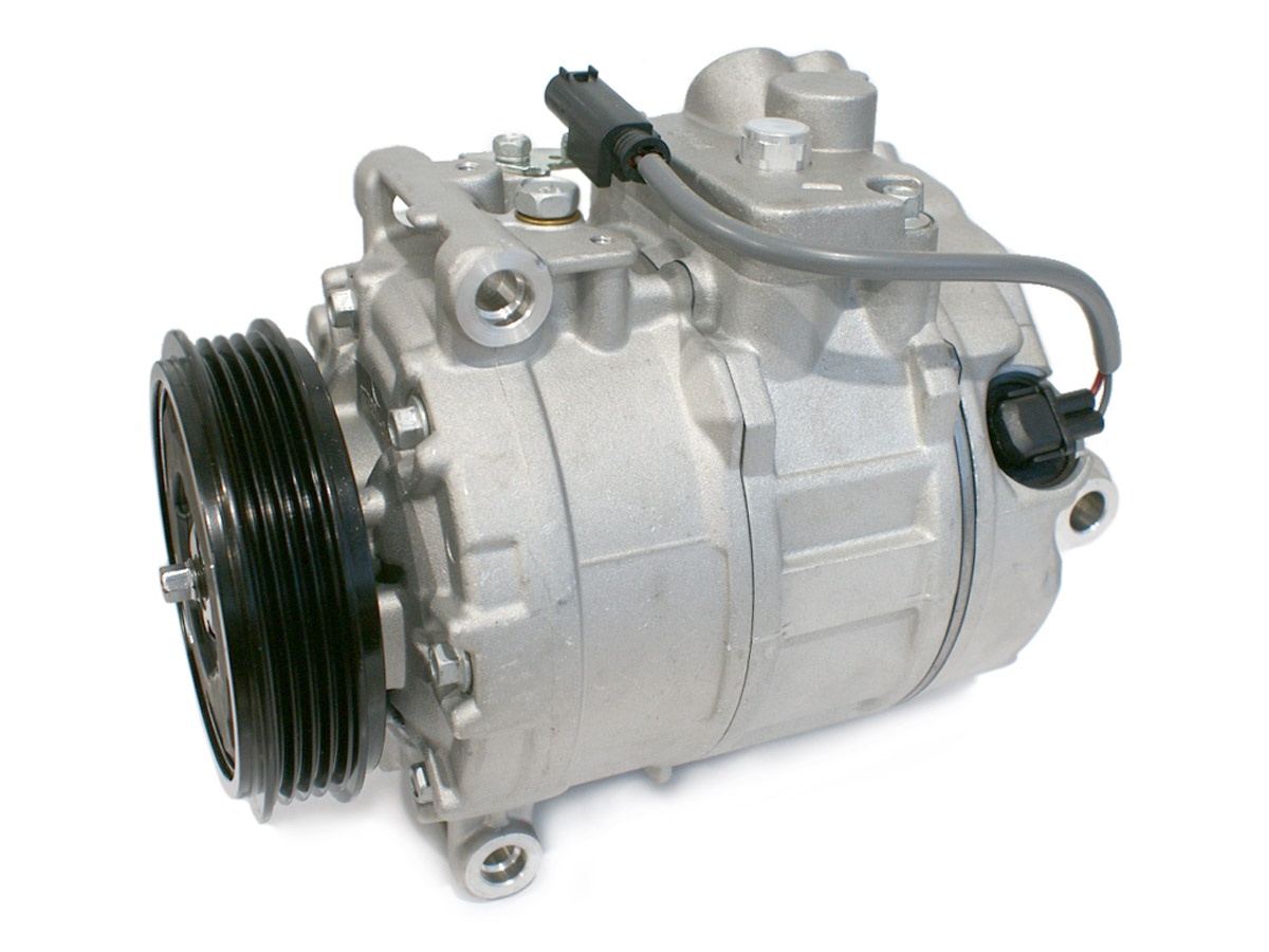 EKL38462