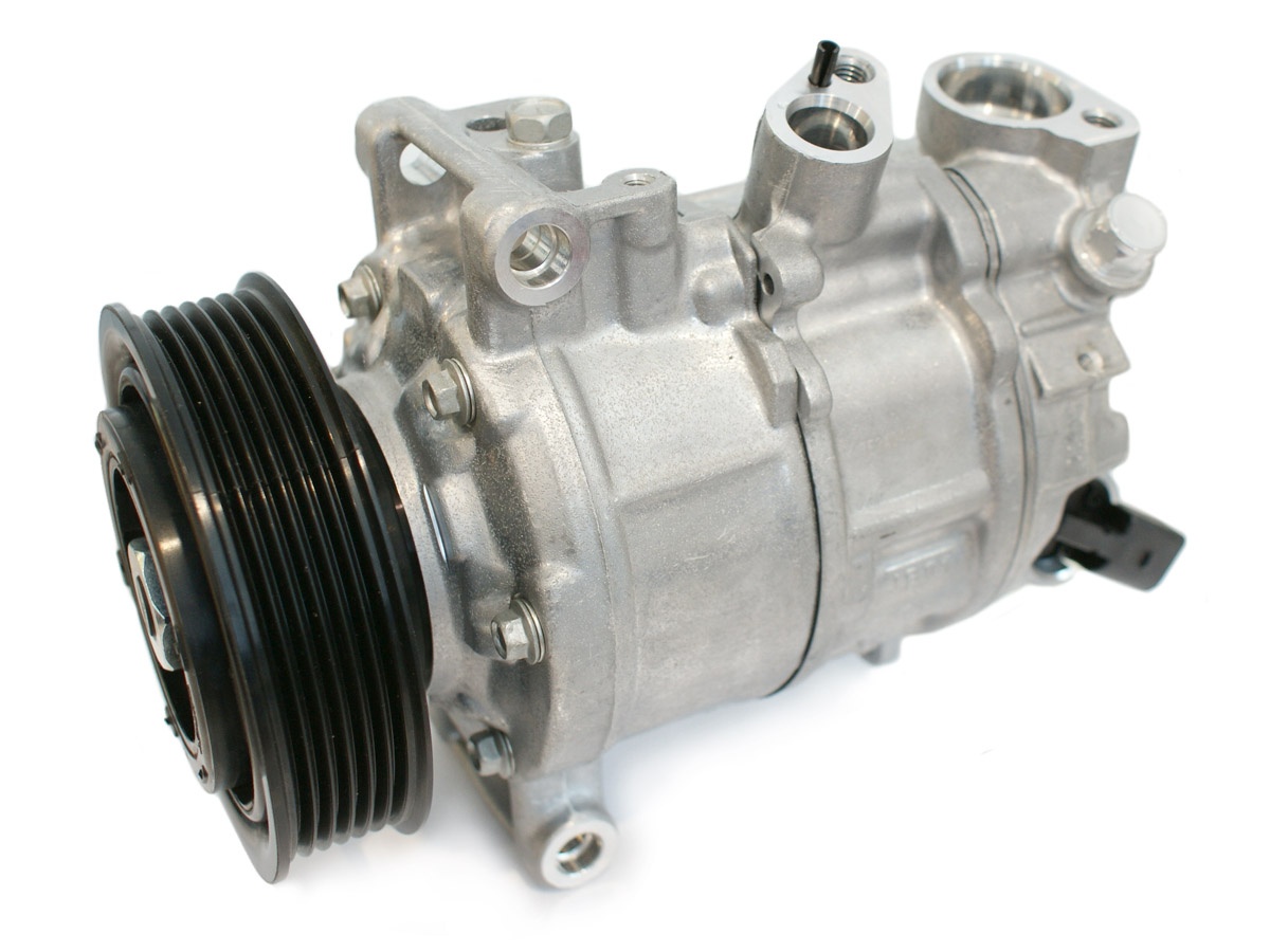 EKL39325