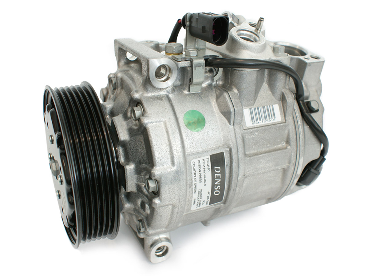 EKL31391