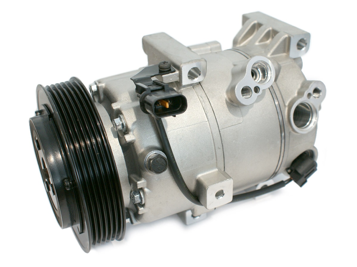 EKL37456
