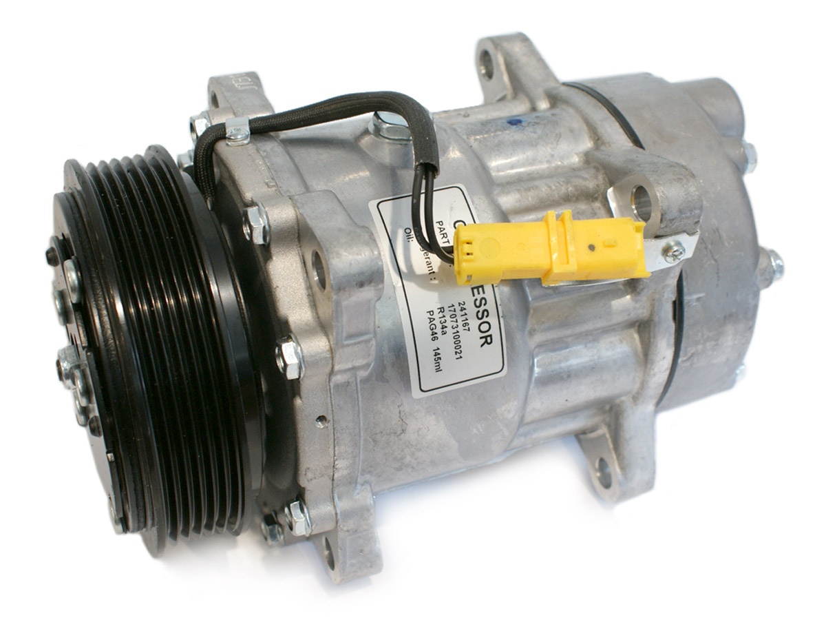 EKL38381