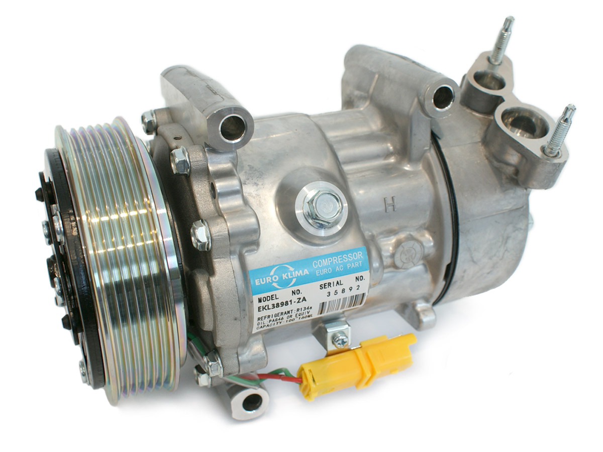 EKL38981