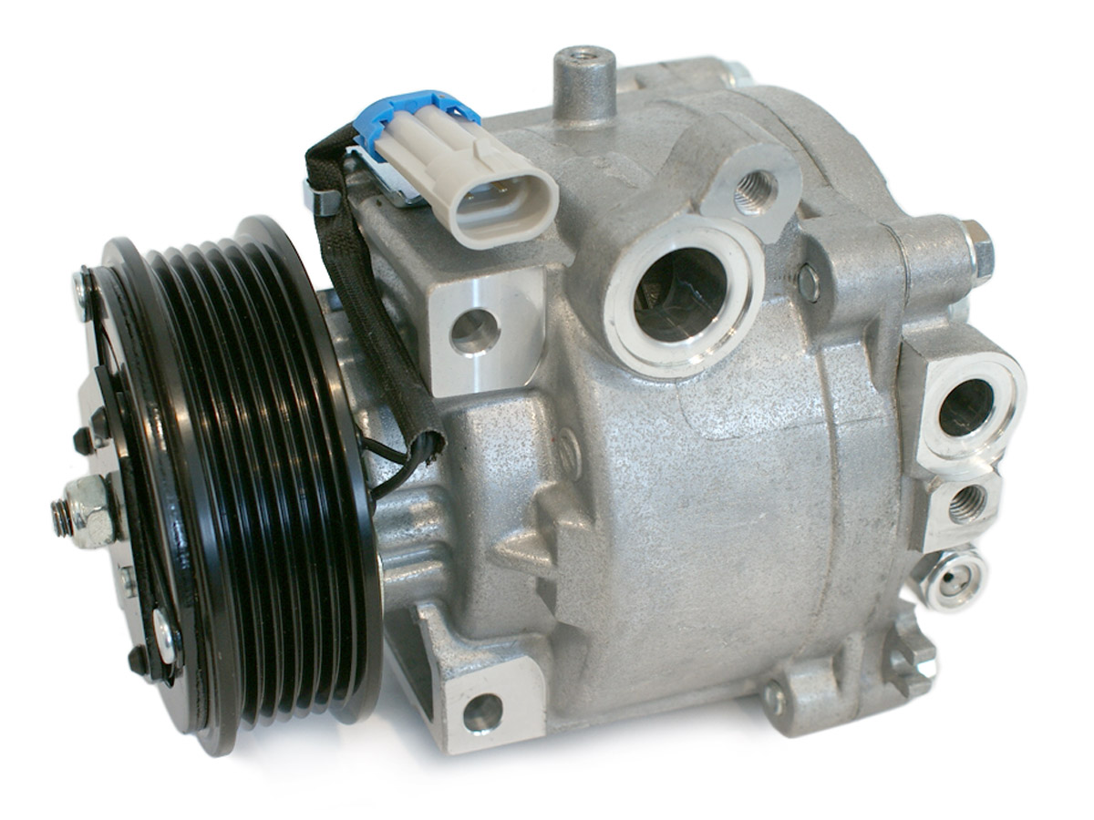EKL39184