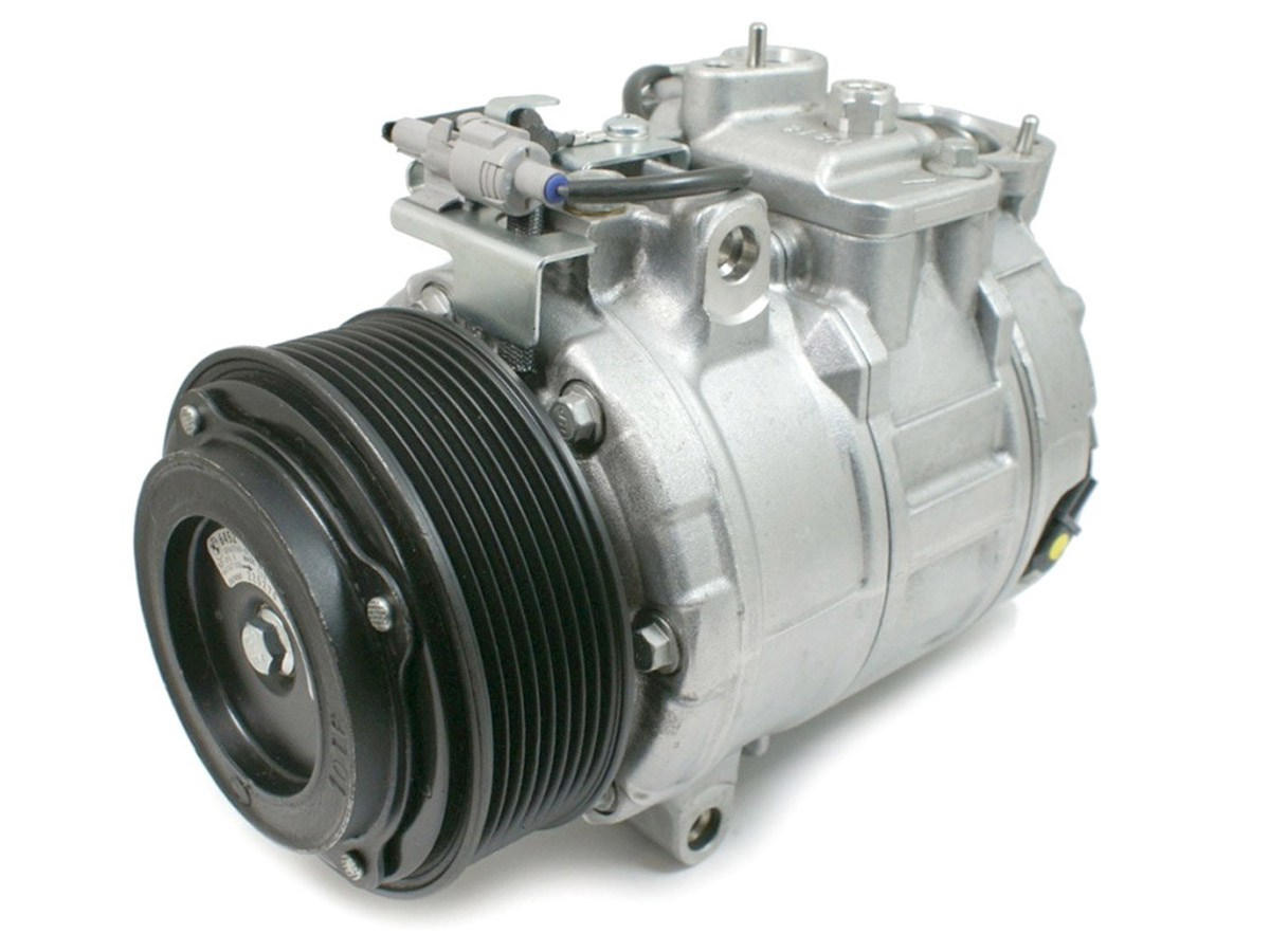 EKL31464