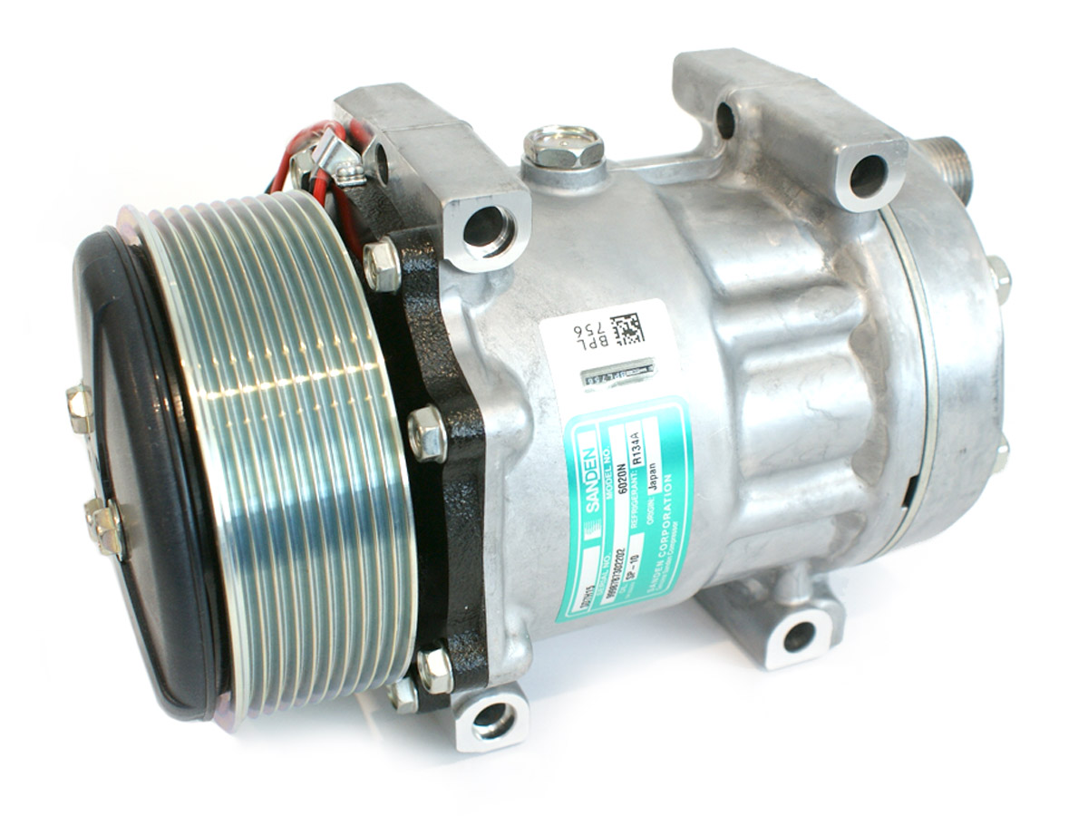 EKL38474