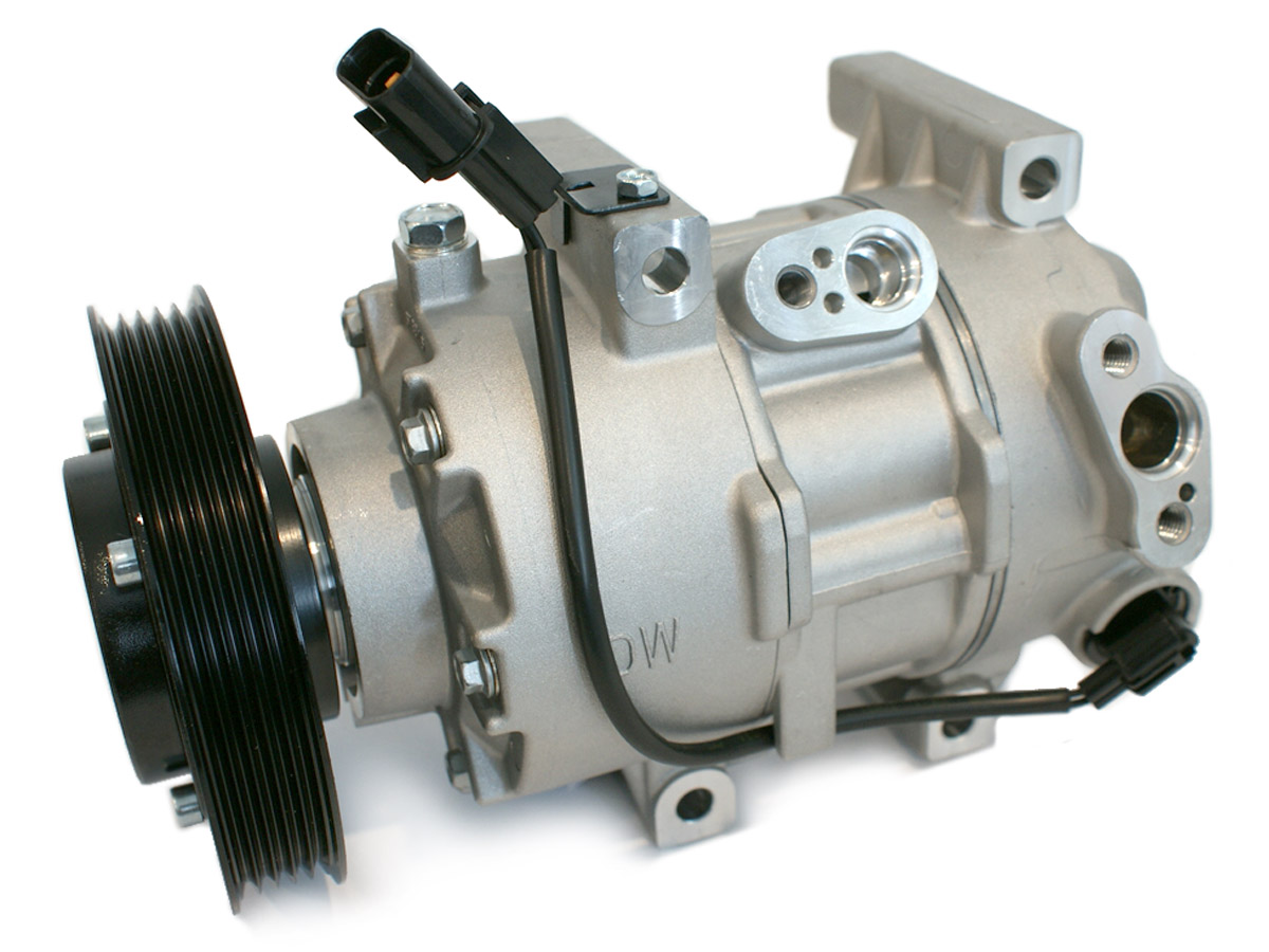 EKL39453