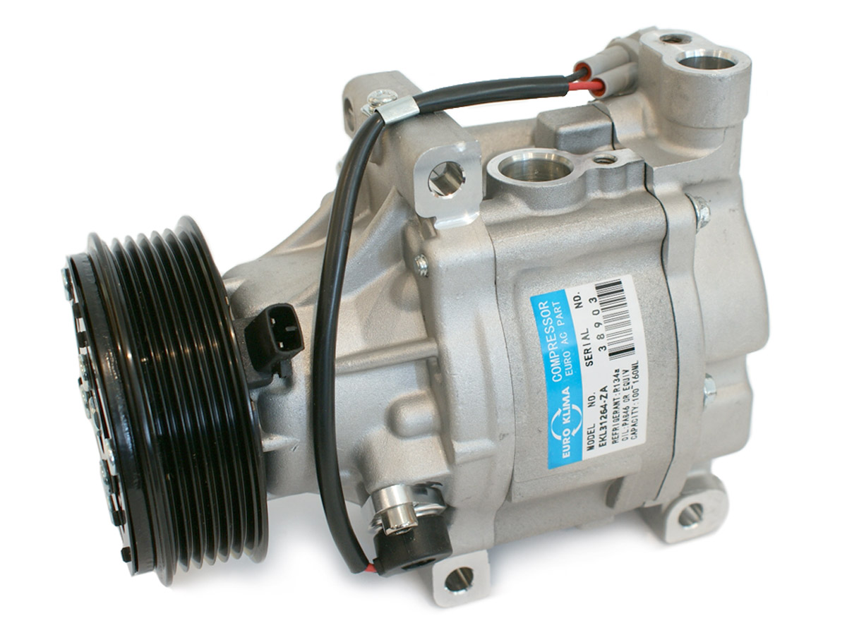 EKL31264