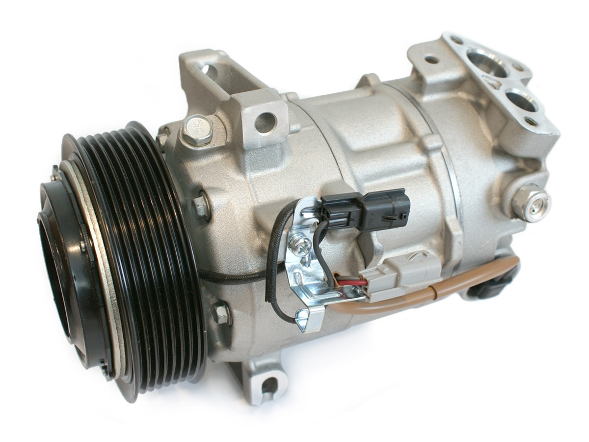 EKL31374