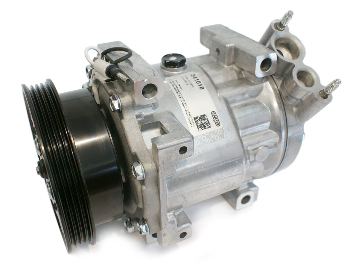 EKL38552