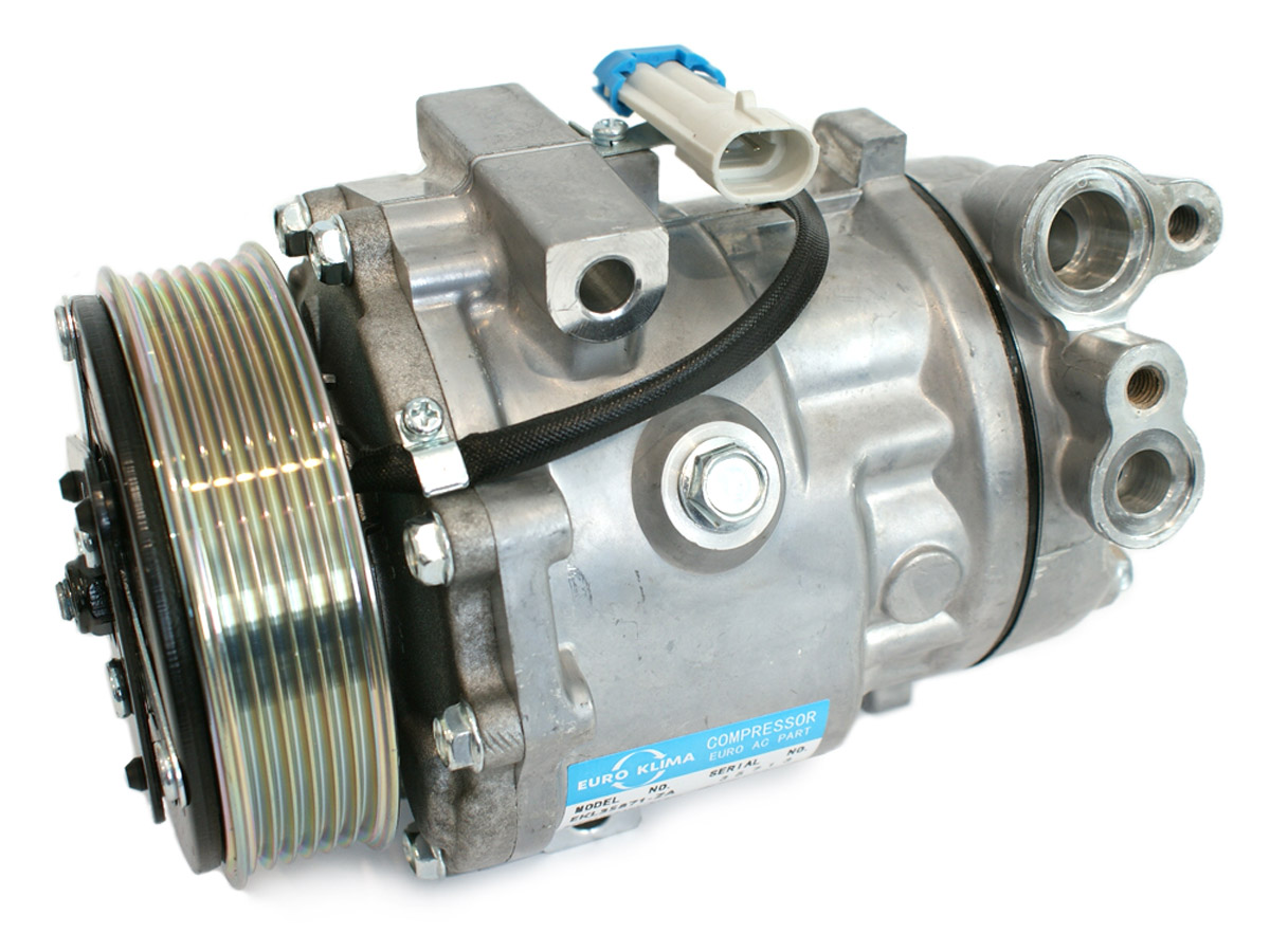 EKL35871