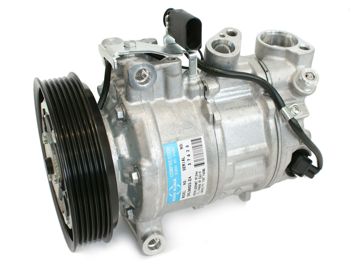 EKL36055