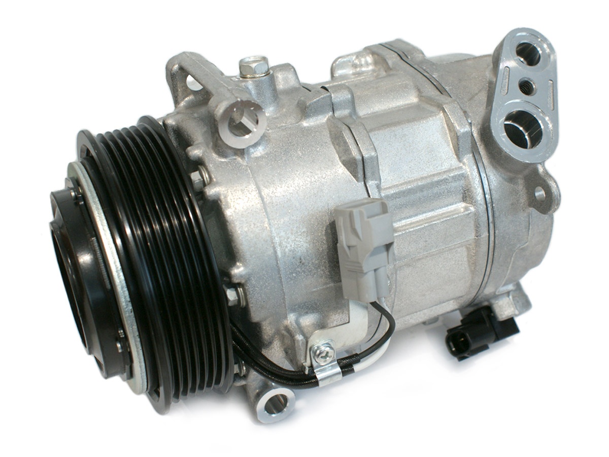 EKL31994