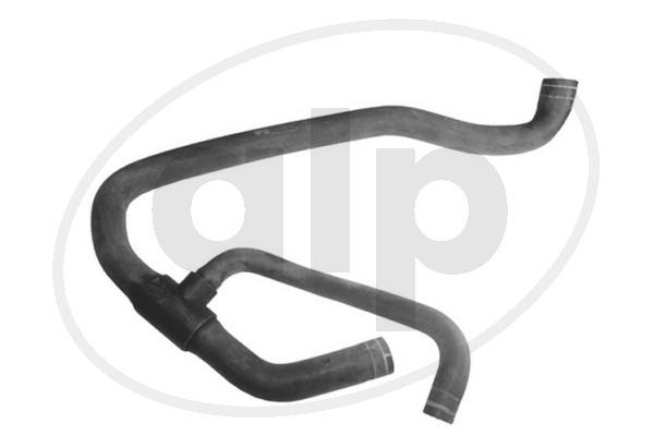 ALP-007021