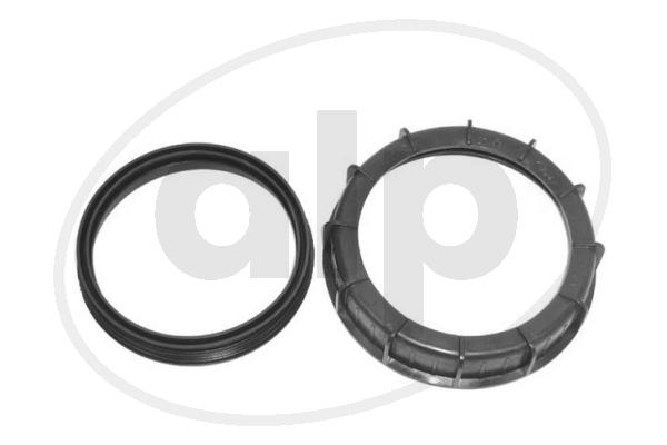 ALP-006010