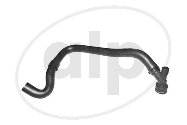 ALP-004319